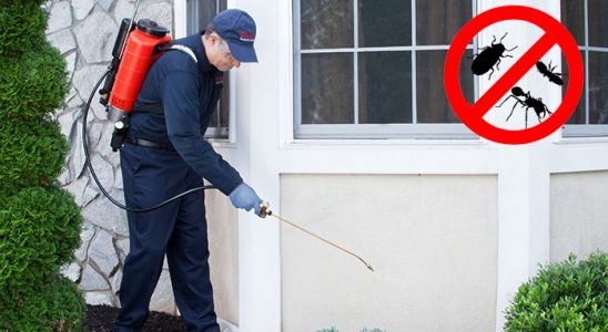 Eyyübiye Hamam Böceği İlaçlama böcek ilaçlama ve haşere kontrolü — ilaclama-tr.com